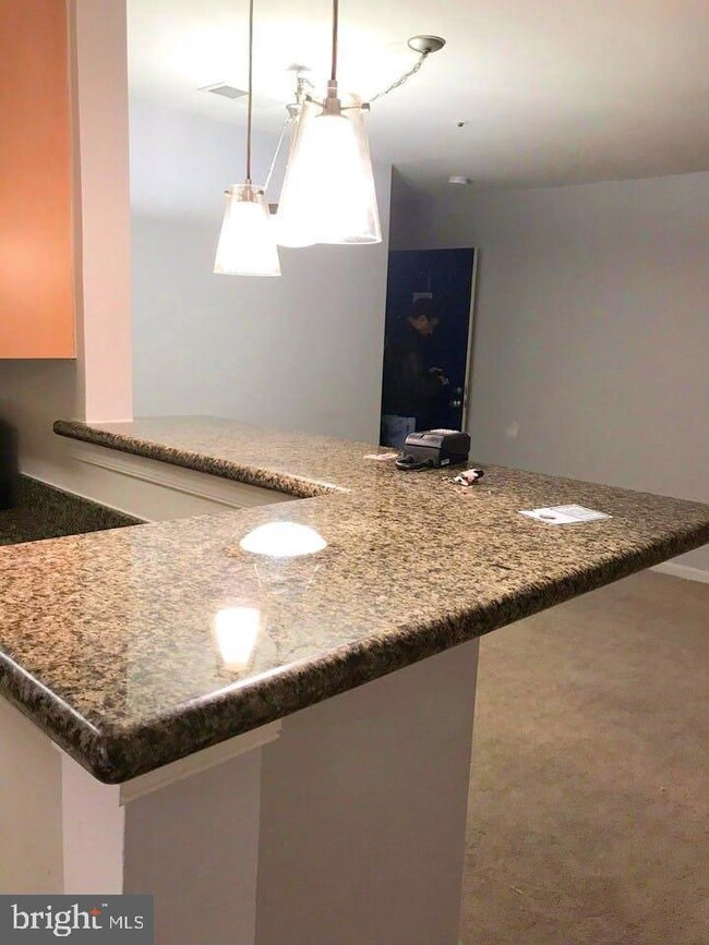 The Four Winds at Oakton unit 4-D7, Oakton, VA 22124 - photo 3