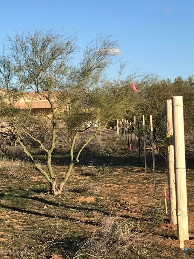 N2- fence separating S2 (east side of li