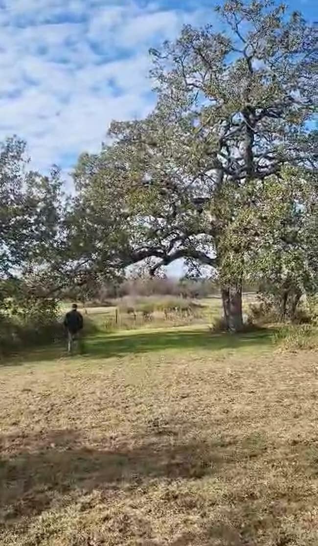 200 Private Road 1402, Morgan, TX 76671 - photo 7