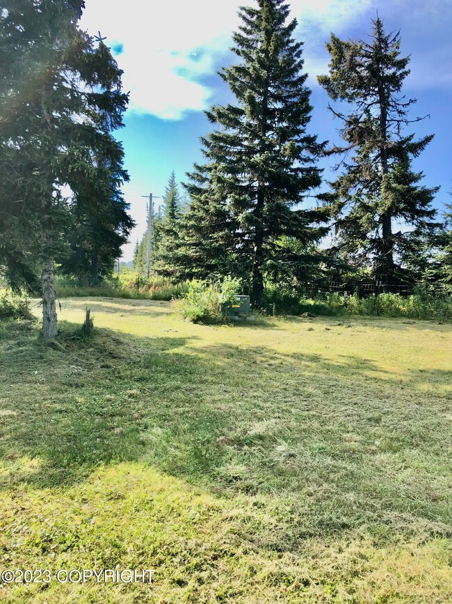 Beautiful Fenced back yard
