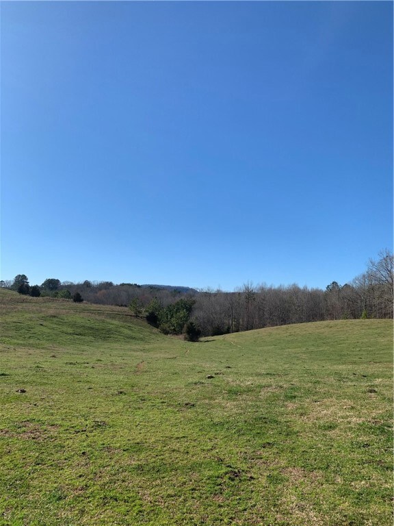 41.2 acres Nectarine Cir, Walhalla, SC 29691 - photo 7