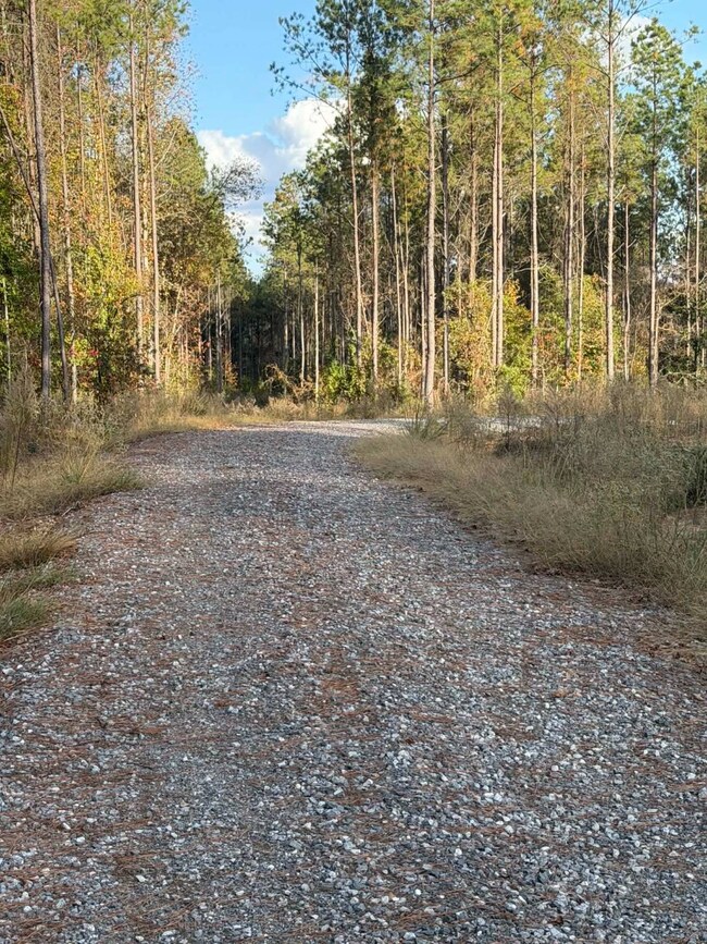 108 Meadowview St, Jena, LA 71342 - photo 3