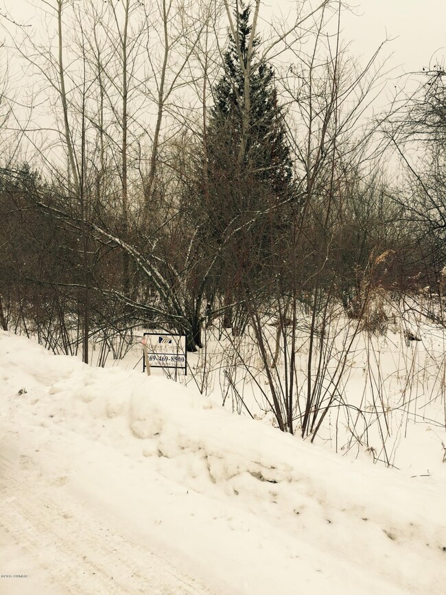 0 Aplona Ln, Sawyer, MI 49125 - photo 2