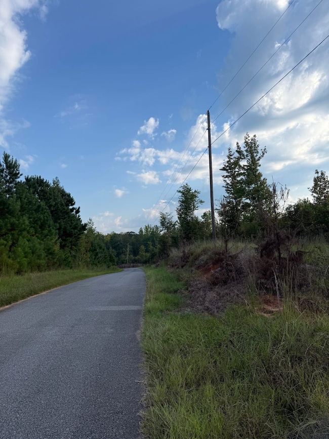 Blizzard Rd, Meridian, MS 39305 - photo 5