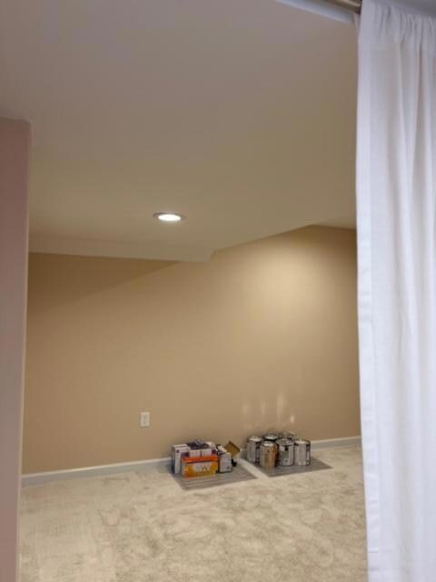 Entry BR Closet or Storage