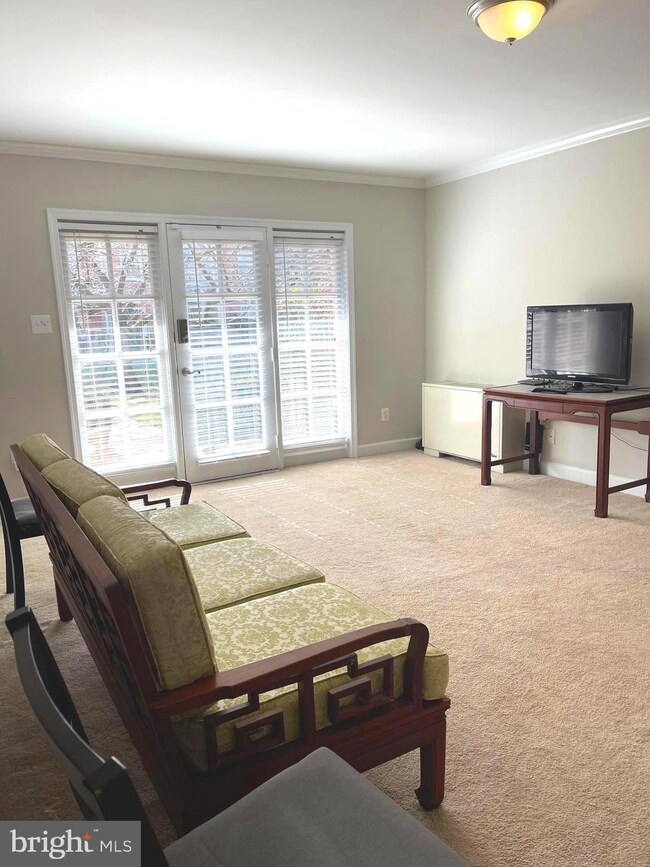 3332 Spring Ln unit C-20, Baileys Crossroads, VA 22041 - photo 4