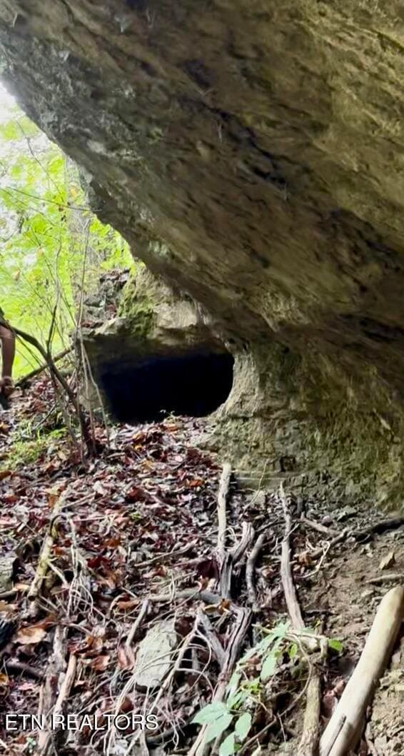 0 Bridle Way unit 1323079, Speedwell, TN 37870 - photo 7