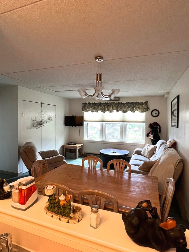 28 Packards Rd unit 311, Waterville Valley, NH 03215 - photo 5