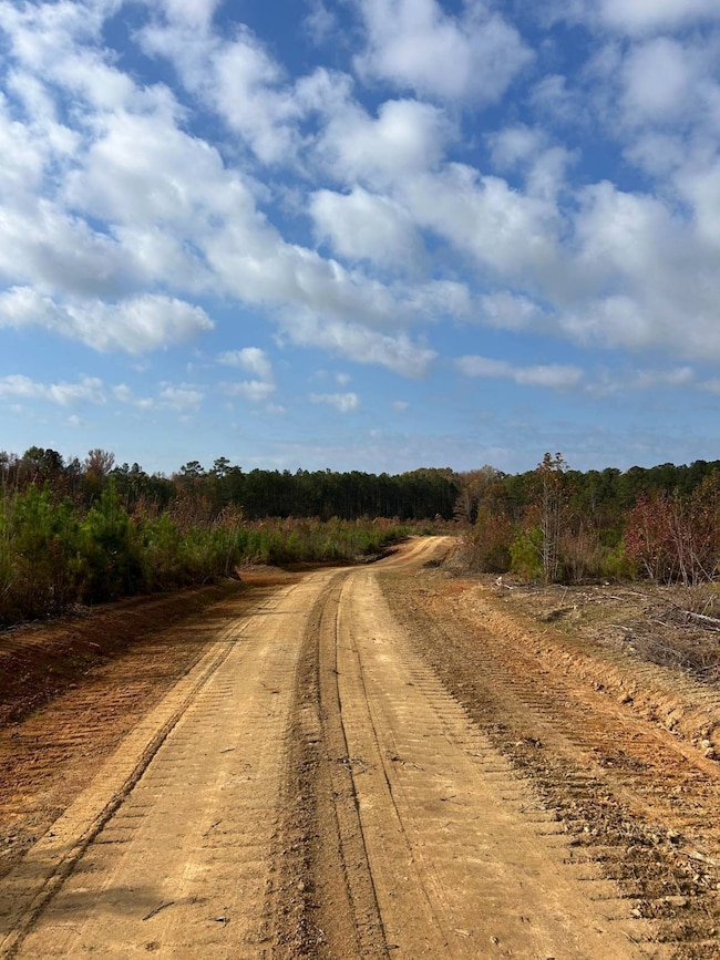 0032 State Road S-40-232 unit 32, Elgin, SC 29045 - photo 4