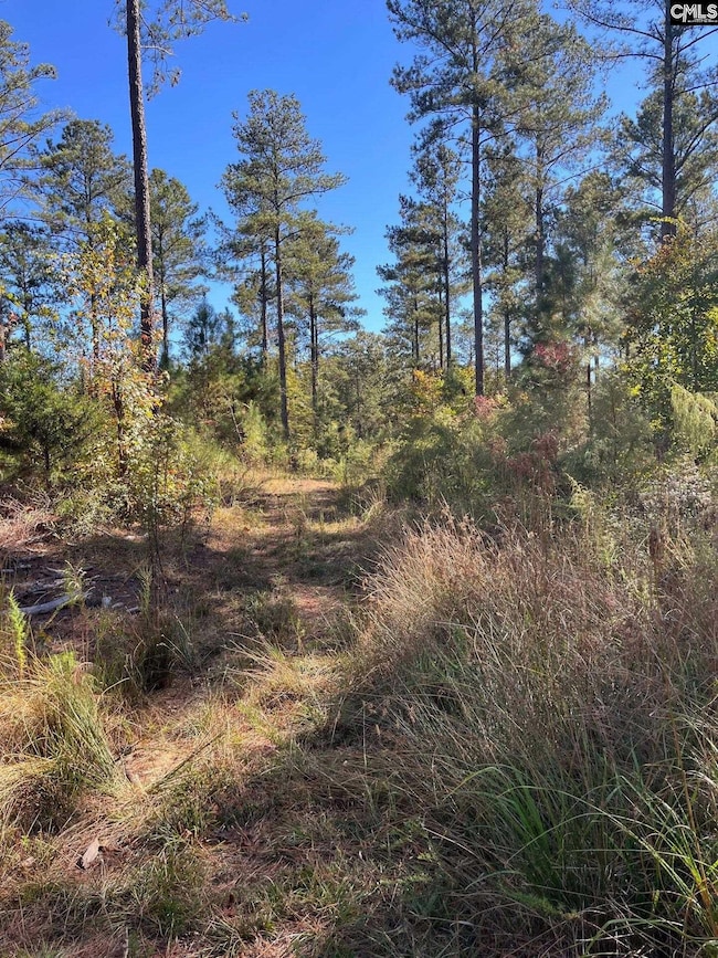 DRF 2 Dawkins Rd unit DRF 2, Pacolet, SC 29372 - photo 3