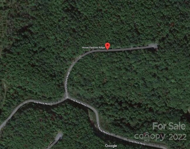 Lot 123 Horse Pasture Ridge, Black Mountain, NC 28711 MLS CAR3919754
