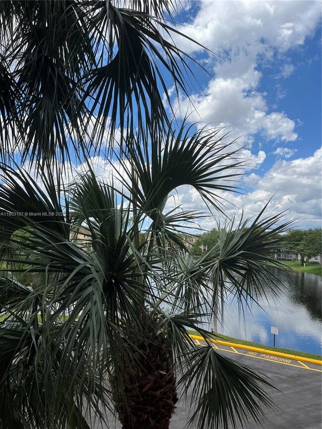 vista al lago