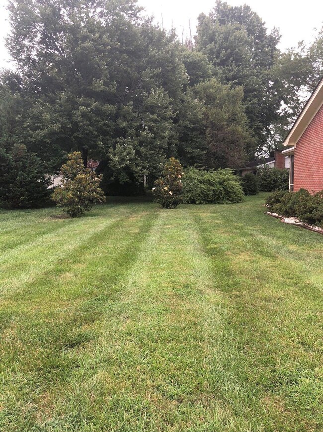 104 Hughes Ave, Berea, KY 40403 - photo 3