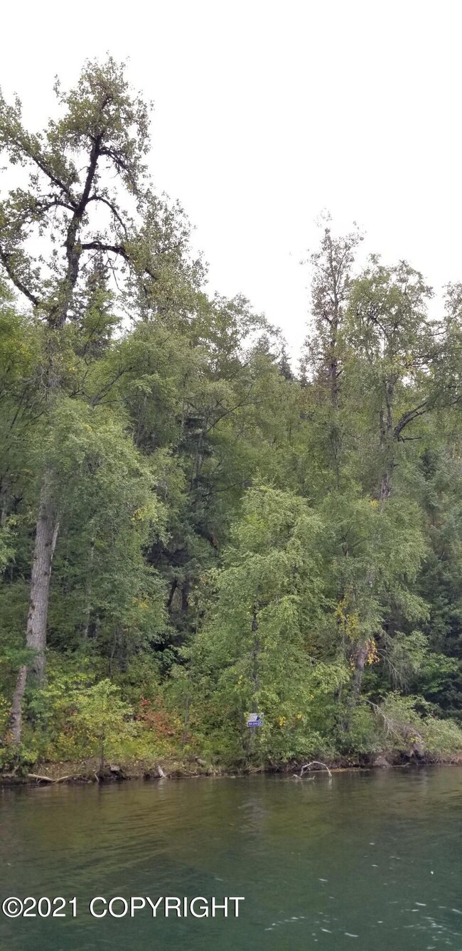 Chilkat Lake Lot 12 Blk 8