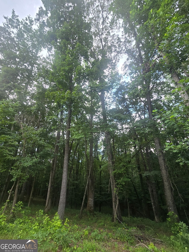 6147 Little Ridge Rd, Acworth, GA 30102 - photo 3