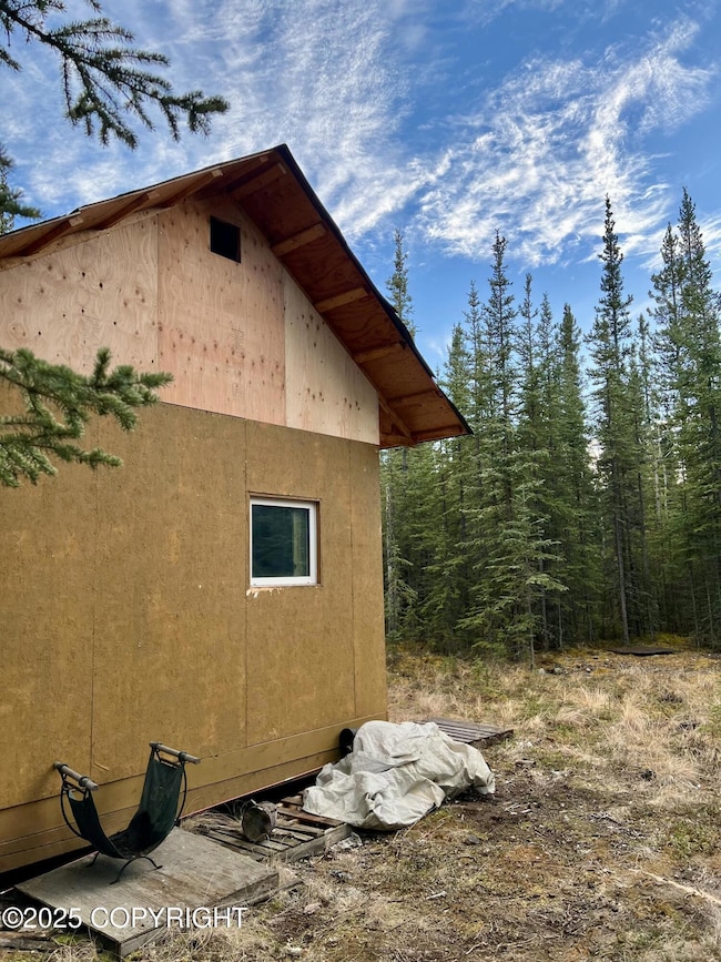 L11 B4 Jack Wade Bill Seaton Rd, Tok, AK 99780 - photo 2