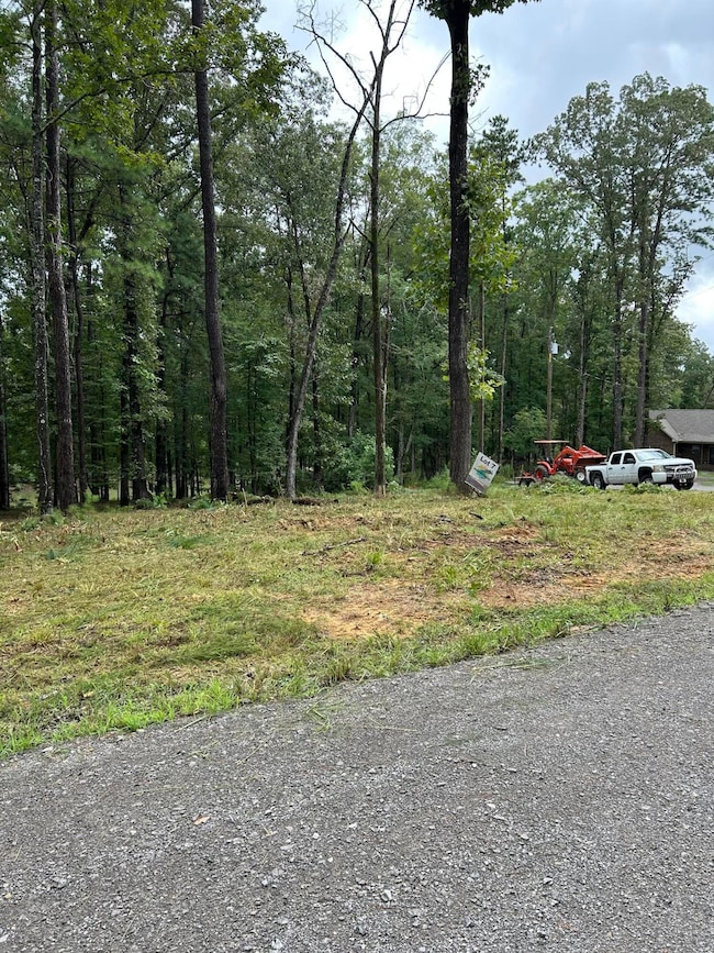 0 Shoreside Dr, Double Springs, AL 35553 - photo 2