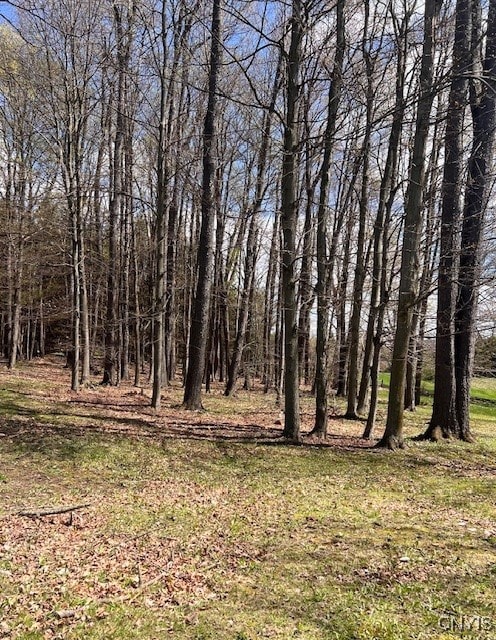 3284 Walden Oaks Blvd, Munsons Corners, NY 13045 - photo 3