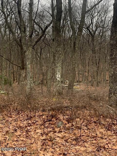 Lot 3511 Whipple Way, Conashaugh Lakes, PA 18337 - photo 3