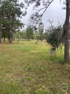 1179 River Plantation Place NE, Townsend, GA 31331 - photo 4