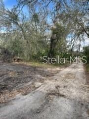 11616 Bullfrog Creek Rd, Gibsonton, FL 33534 - photo 7