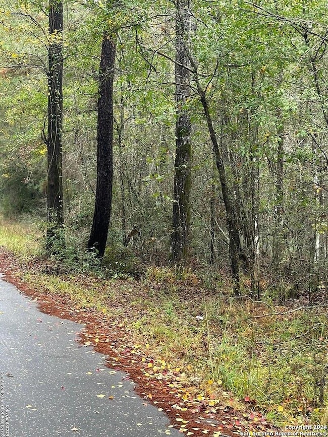 00 County Road 065, Jasper, TX 75951 - photo 7