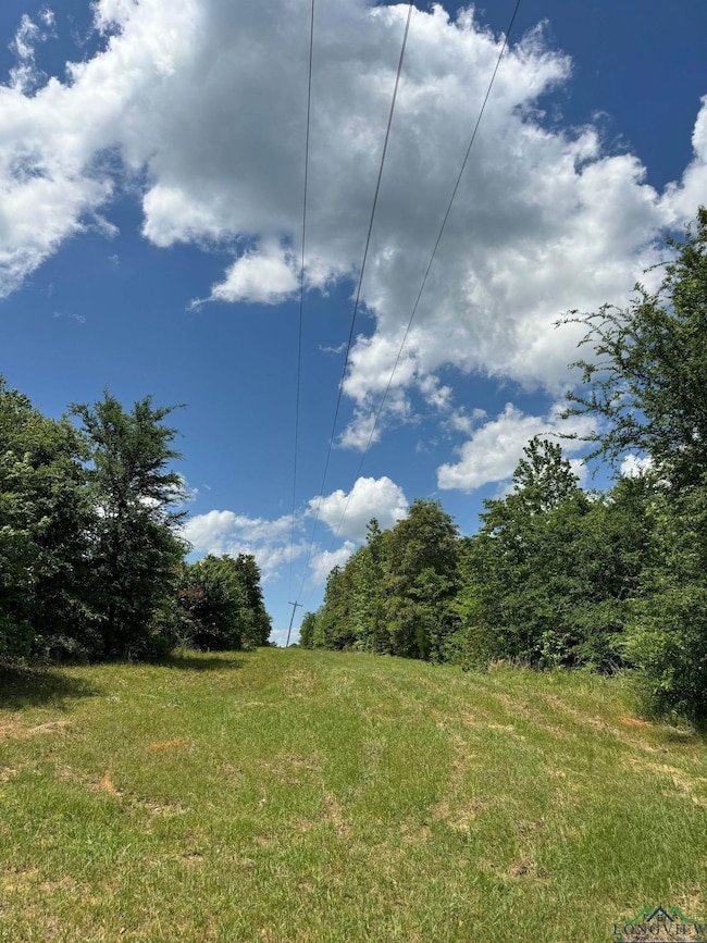 View of nature
