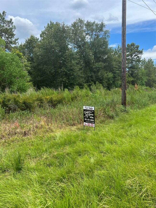 25713 Joseph Rd, Hockley, TX 77447 - photo 7