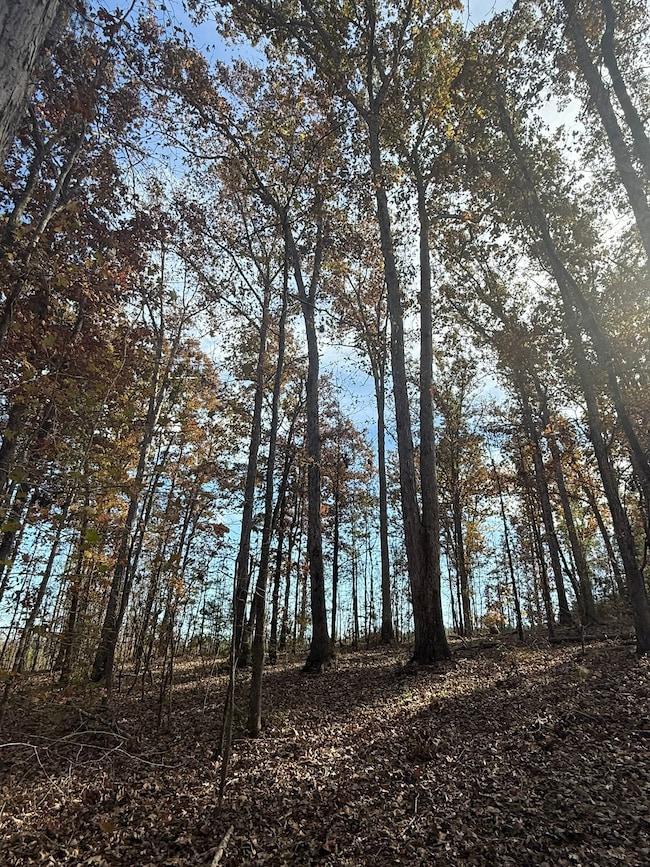 9654 State Road S-36-58, Kinards, SC 29355 - photo 5