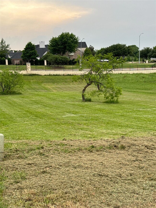 View of yard at dusk
