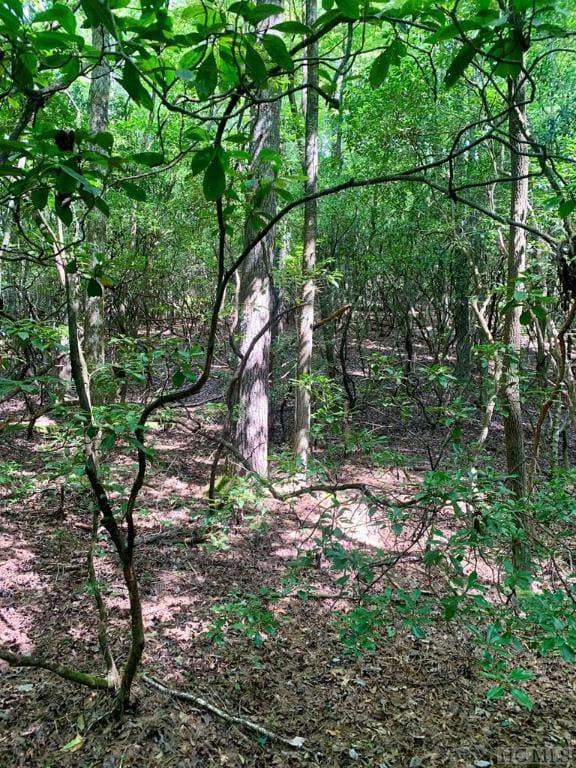 TBD Double Creek Dr, Brevard, NC 28712 - photo 2