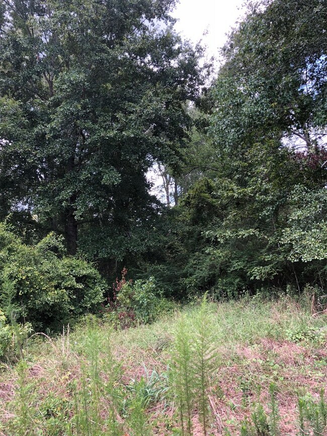 000 Hilton Memory Rd, Vidalia, GA 30474 - photo 4