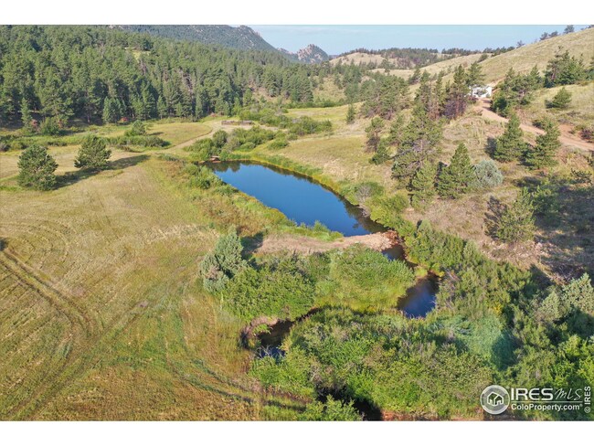 155 Elkhorn House Rd, Livermore, CO 80536 - photo 7