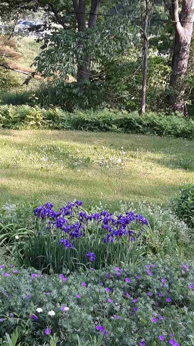 23 Farr Rd, Lebanon, NH 03766 - photo 4