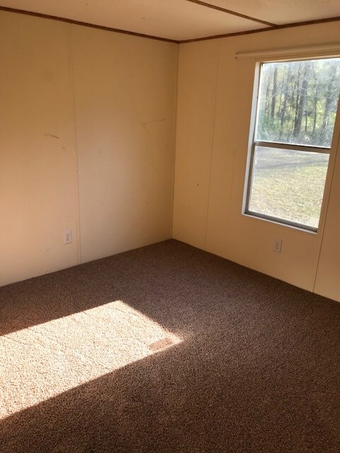 65 Rutland Rd unit 1, Crawfordville, FL 32327 - photo 7