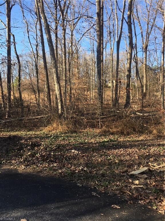 Lot 1 Hazelwood St, Asheboro, NC 27205 - photo 3