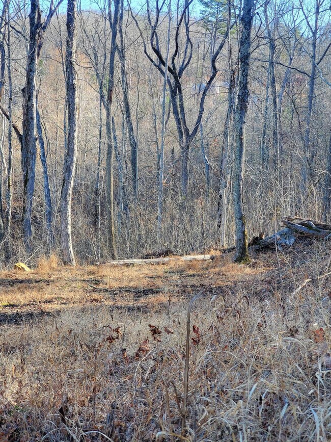 129 Buckeye Dr, Burnside, KY 42519 - photo 2