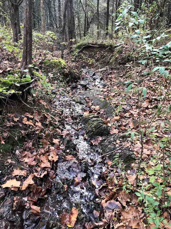 0 Forest Grove Rd unit 569410, Lexington, VA 24450 - photo 5