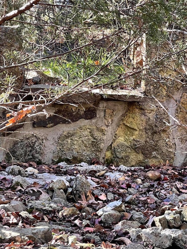 1 Paradise Rd, West Ozark Township, MO 65757 - photo 6