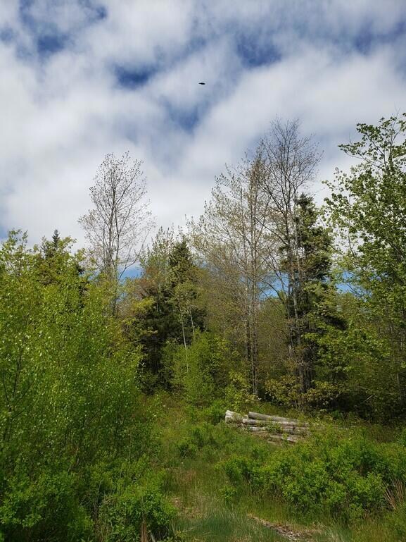 20220524_121734 (Copy)