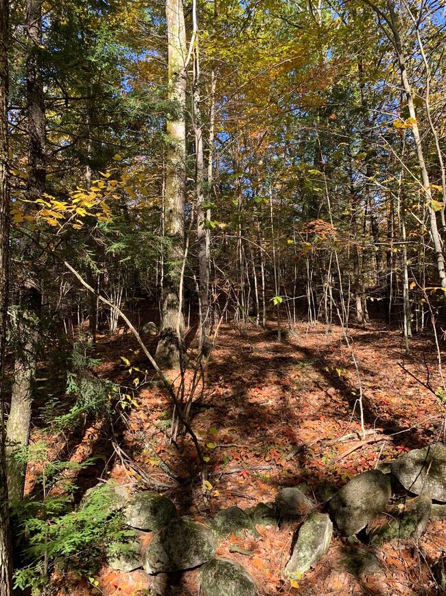 Lot 2 Journeys End Rd, Francestown, NH 03043 - photo 6