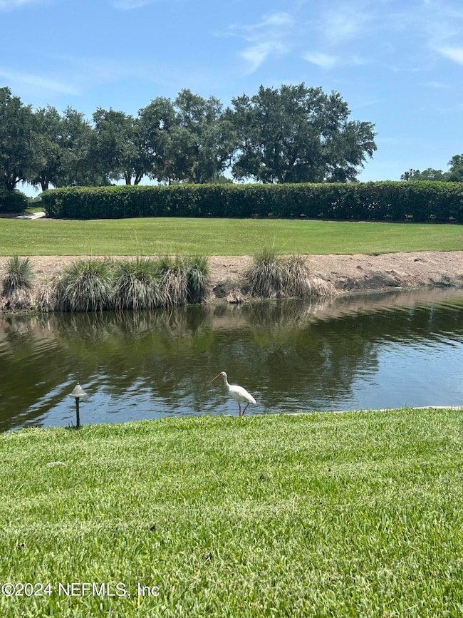 TPC Bird
