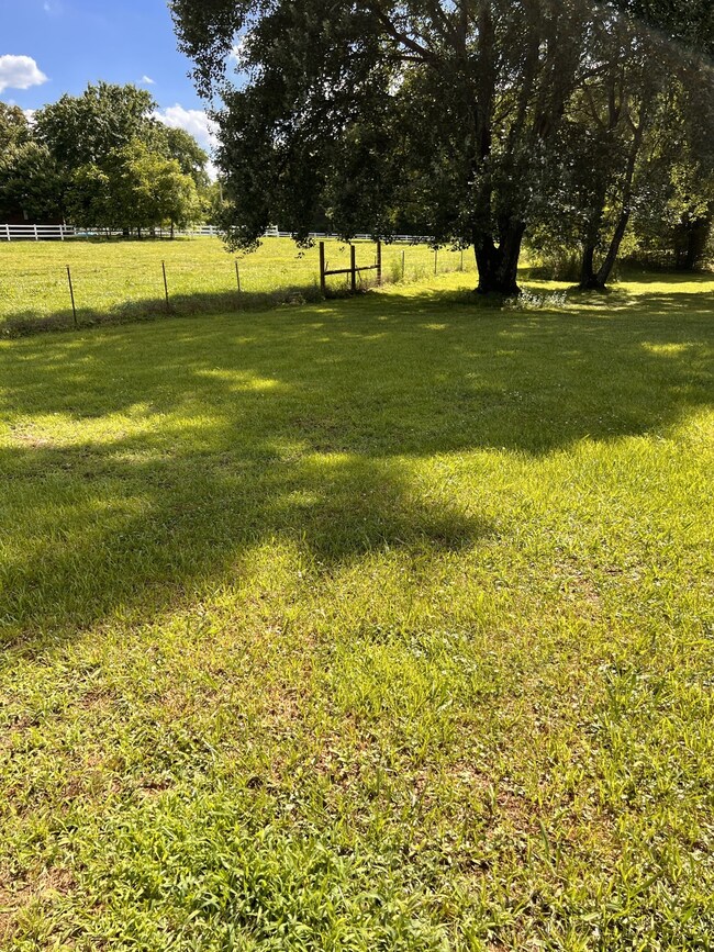 76 Alpine Way Rd, Manchester, TN 37355 - photo 3