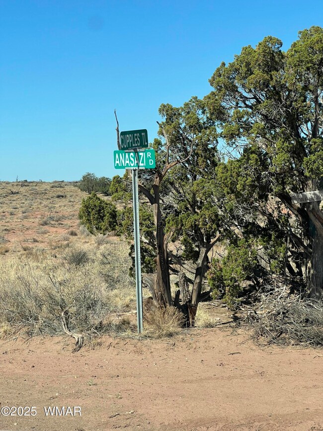 8362 Cupples Trail, Snowflake, AZ 85937 - photo 4