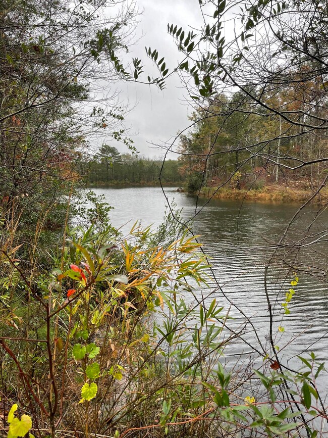 pond