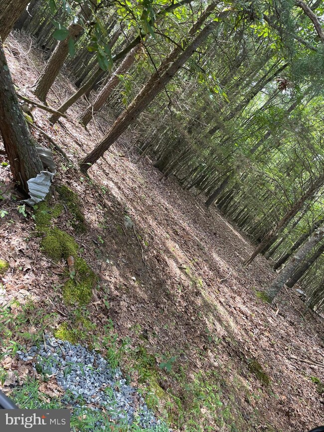 TBD Woods Chapel, New Market, VA 22844 - photo 2