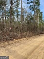 0 Busby Rd unit 10479601, Statesboro, GA 30458 - photo 2