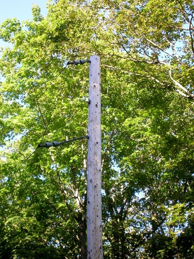 0 White Ash Trail unit (Parcel 64) 302957, Vanderbilt, MI 49795 - photo 7