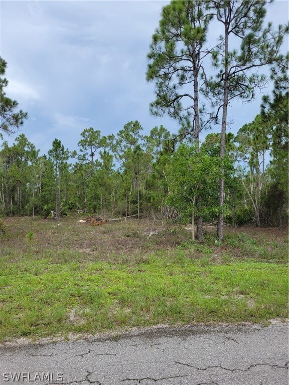 828 Gedeon Rd, Lehigh Acres, FL 33974 - photo 2