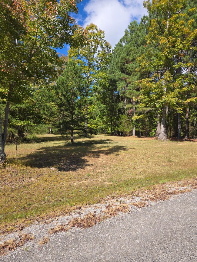 0 Two Lake Trail unit 1522146, Dunlap, TN 37327 - photo 3